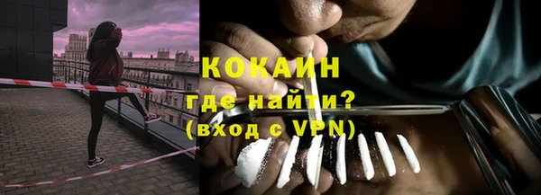 индика Верея