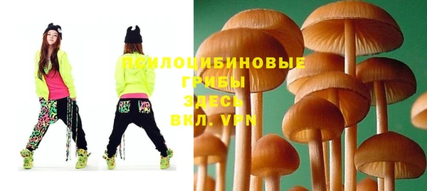 стафф Бронницы