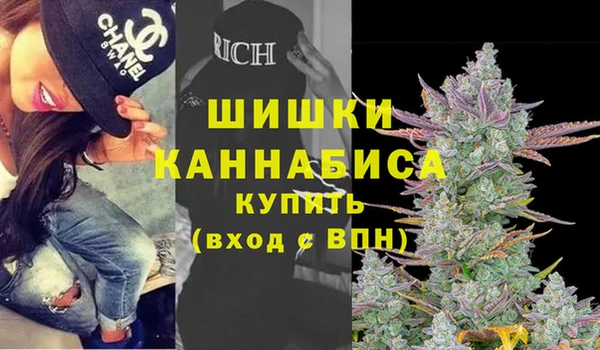 индика Верея