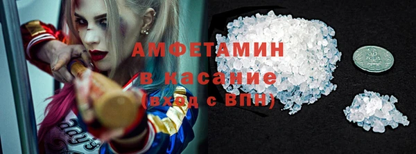 индика Верея